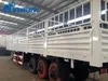 2 3 4 Axles 30t 80t Warehouse Type Palisade Barn Caged 12 16 Wheels 12.5 15 Meters Durable Detachable Drop Sidewall Side Wall Stake Fence Semi Trailer